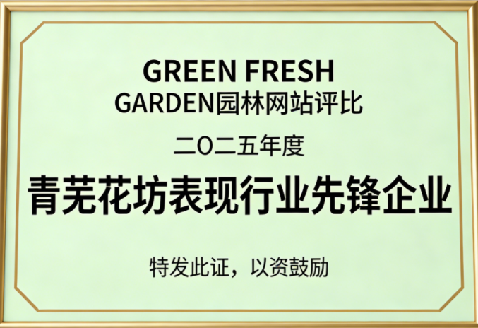 荣誉证书二